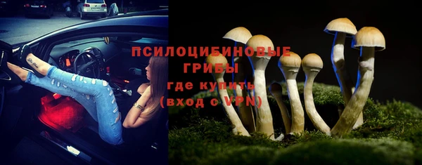 дмт Богородск