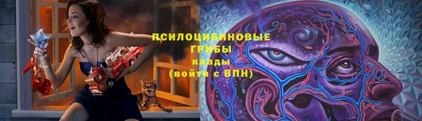 дмт Богородск