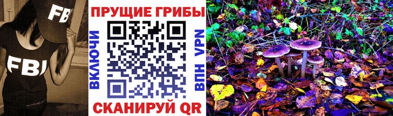 Купить где Дальнегорск Галлюциногенные грибы Magic Shrooms